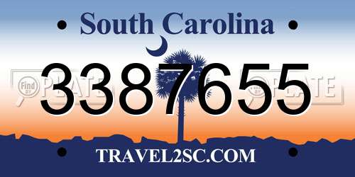 3387655 South Carolina License Plate
