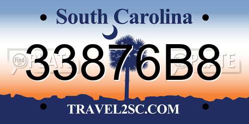 33876B8 South Carolina License Plate