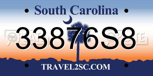 33876S8 South Carolina License Plate