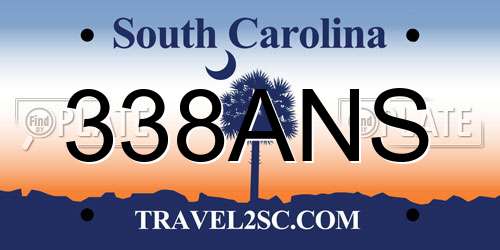 338ANS South Carolina License Plate
