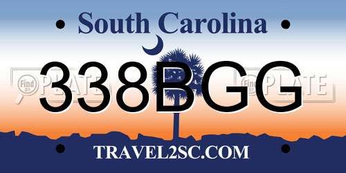 338BGG South Carolina License Plate