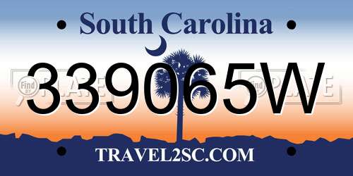 339065W South Carolina License Plate