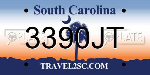 3390JT South Carolina License Plate