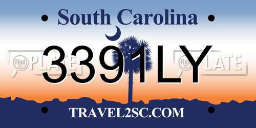 3391LY South Carolina License Plate
