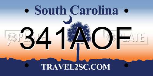 341AOF South Carolina License Plate