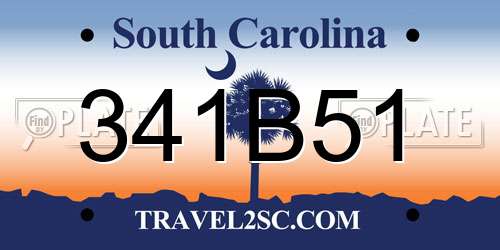 341B51 South Carolina License Plate