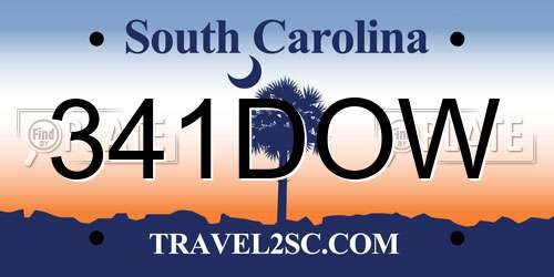 341DOW South Carolina License Plate