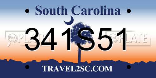 341S51 South Carolina License Plate