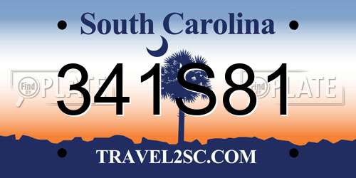 341S81 South Carolina License Plate