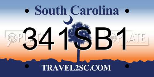 341SB1 South Carolina License Plate
