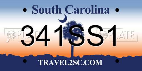 341SS1 South Carolina License Plate