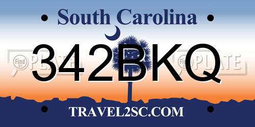 342BKQ South Carolina License Plate