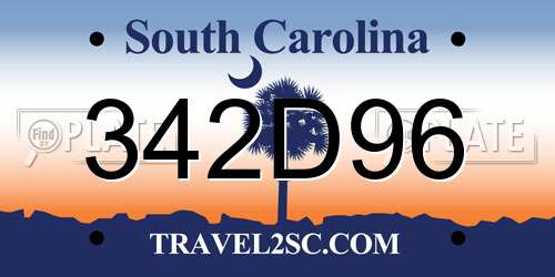 342D96 South Carolina License Plate