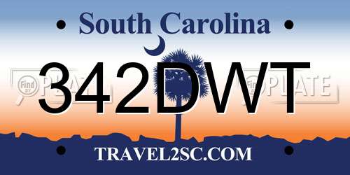342DWT South Carolina License Plate