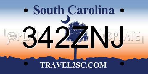 342ZNJ South Carolina License Plate