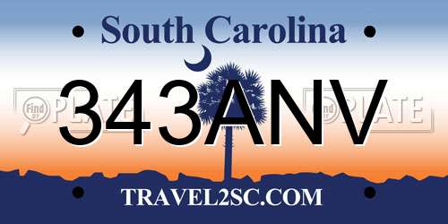 343ANV South Carolina License Plate