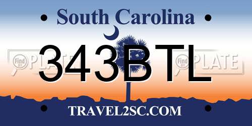 343BTL South Carolina License Plate