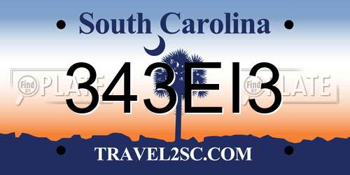 343EI3 South Carolina License Plate