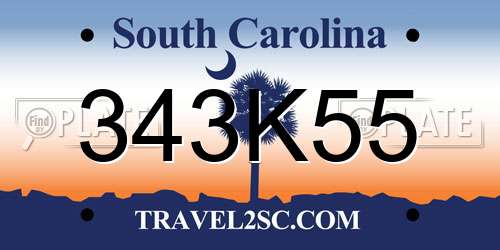 343K55 South Carolina License Plate