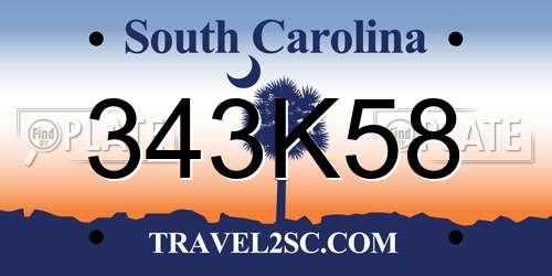 343K58 South Carolina License Plate