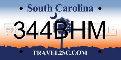 344BHM South Carolina License Plate