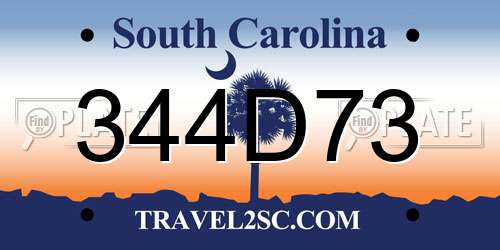 344D73 South Carolina License Plate