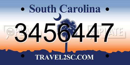 3456447 South Carolina License Plate