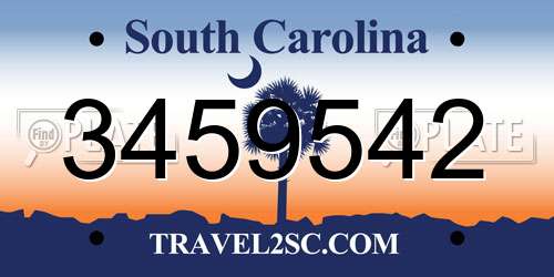 3459542 South Carolina License Plate