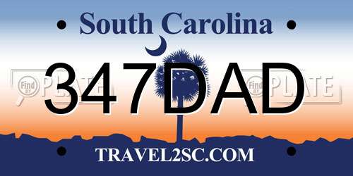 347DAD South Carolina License Plate