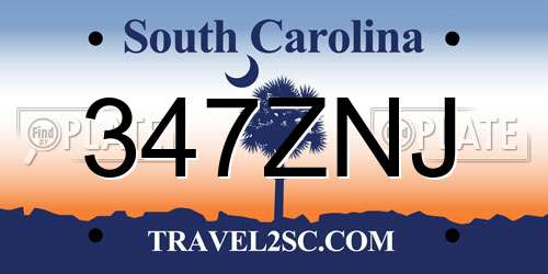 347ZNJ South Carolina License Plate
