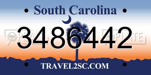 3486442 South Carolina License Plate