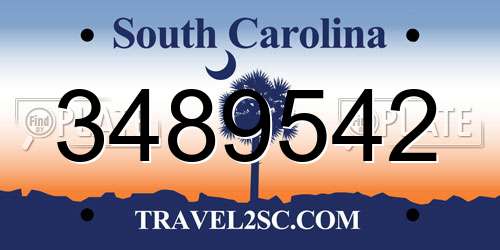 3489542 South Carolina License Plate