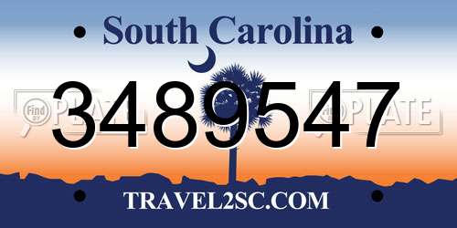 3489547 South Carolina License Plate