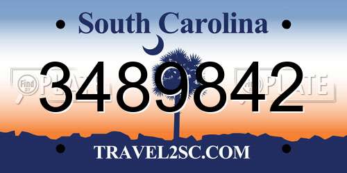 3489842 South Carolina License Plate