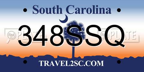 348SSQ South Carolina License Plate