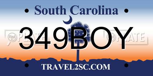 349BOY South Carolina License Plate