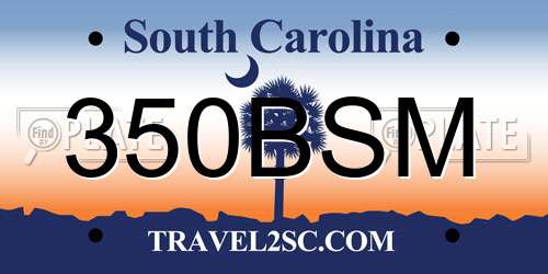 350BSM South Carolina License Plate
