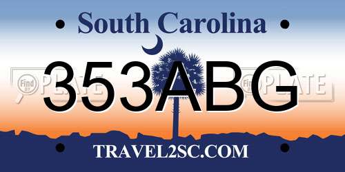 353ABG South Carolina License Plate