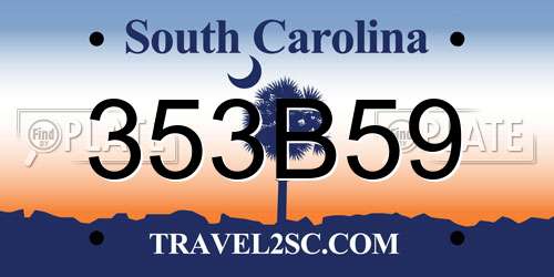 353B59 South Carolina License Plate