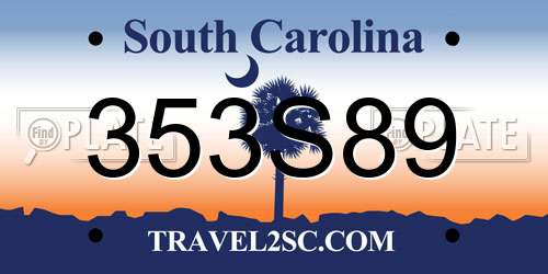 353S89 South Carolina License Plate