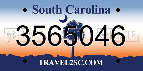 3565046 South Carolina License Plate