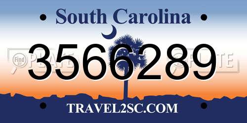 3566289 South Carolina License Plate