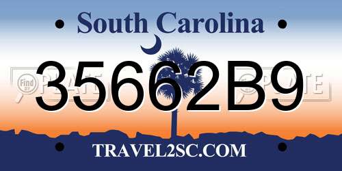 35662B9 South Carolina License Plate