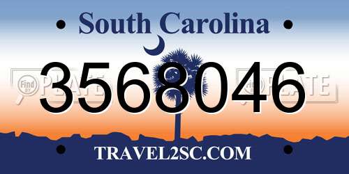 3568046 South Carolina License Plate