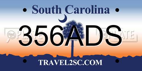 356ADS South Carolina License Plate