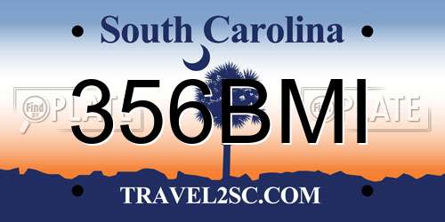 356BMI South Carolina License Plate