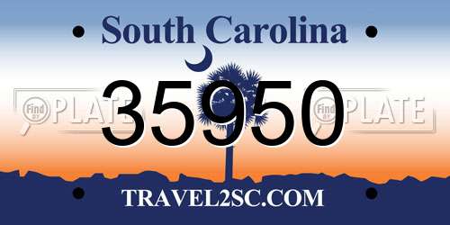 35950 South Carolina License Plate