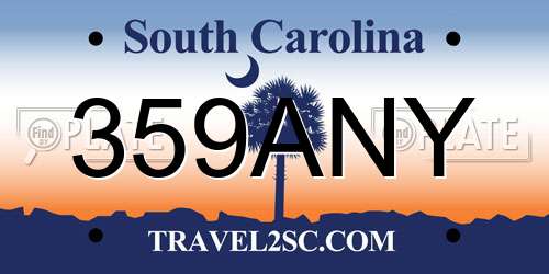 359ANY South Carolina License Plate