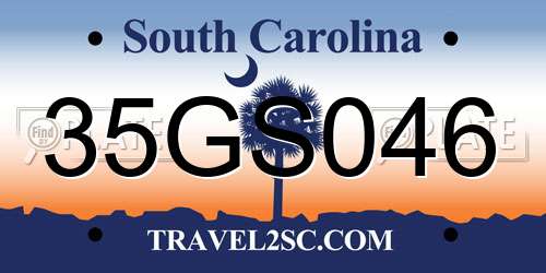 35GS046 South Carolina License Plate
