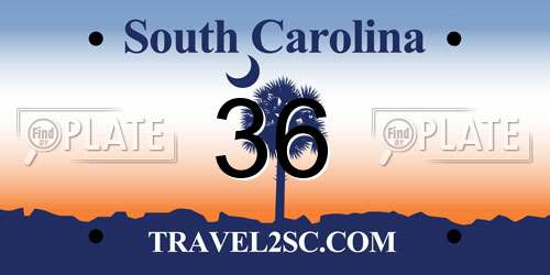 36 South Carolina License Plate